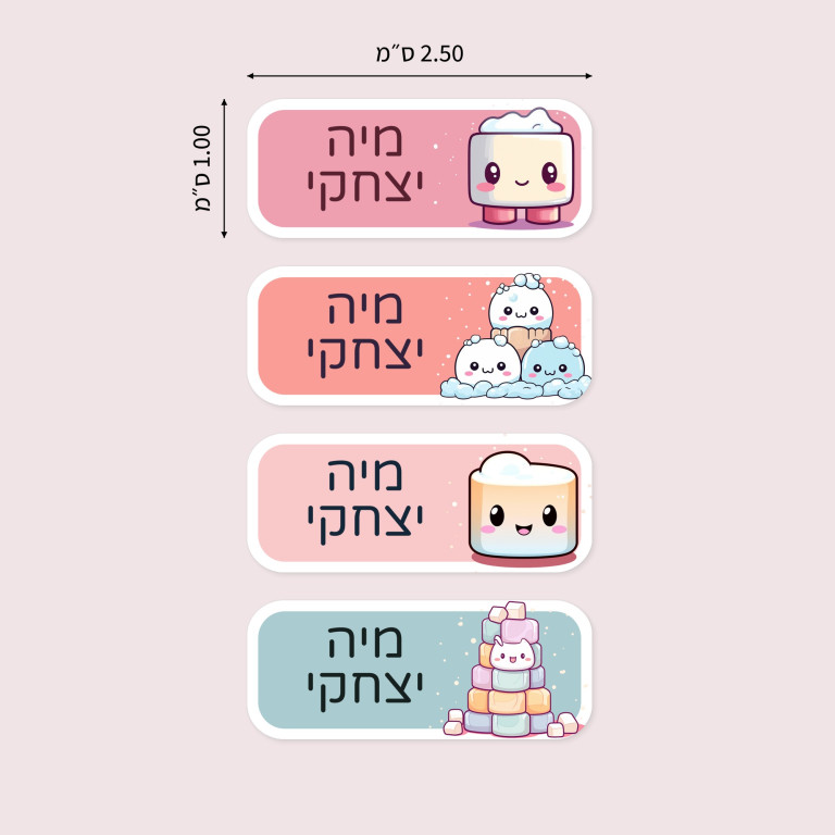 מדבקות שם מעוצבות מלבנים בינוניים